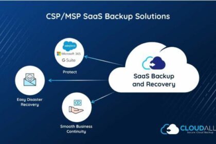 Ensuring Security: The Essential Guide to SaaS Data Backup