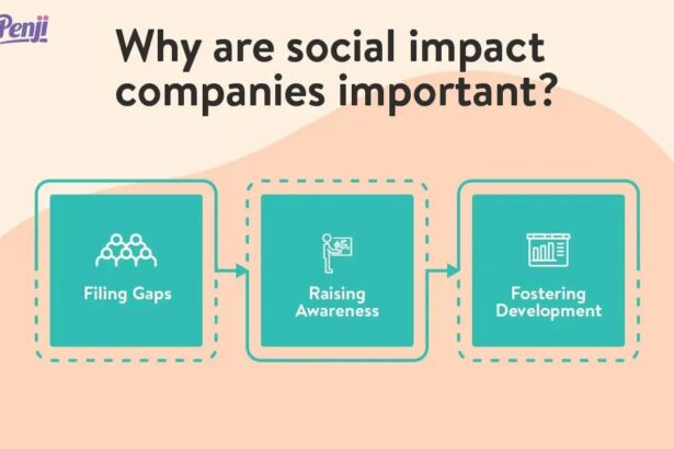 Empowering Change: The Rise of Social Impact Startups