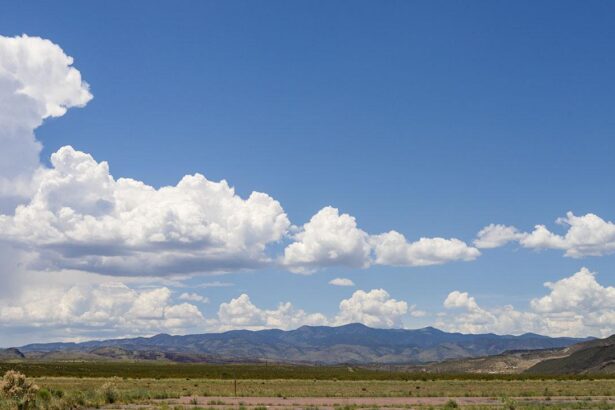 Safeguarding the Cloud: Essential SaaS Data Backup Strategies