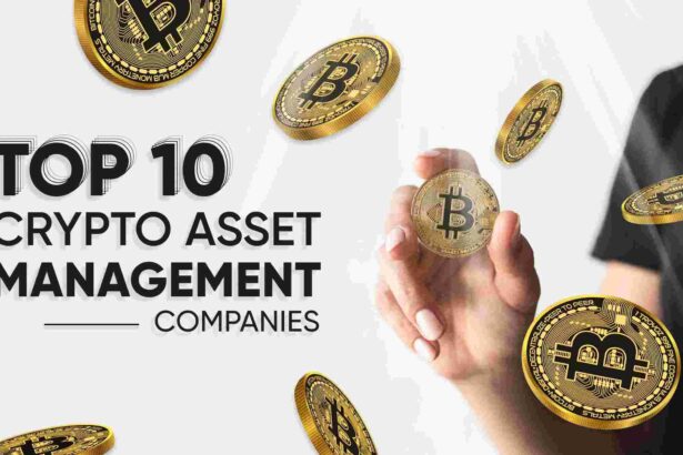 Navigating the Future: A Guide to Crypto Asset Management