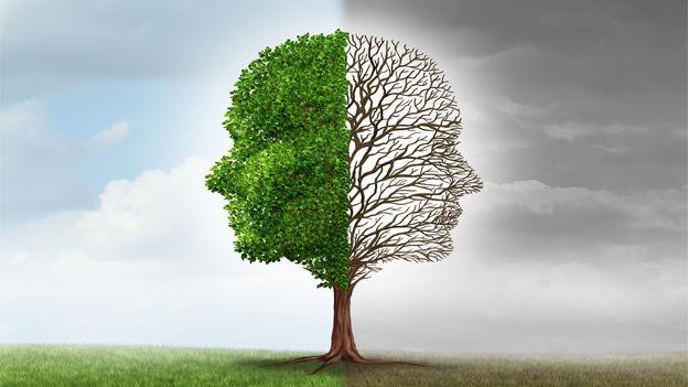 Unlocking the Power of Positive Thinking for a Brighter Life 3 Transforming Your Mindset with Daily Practices