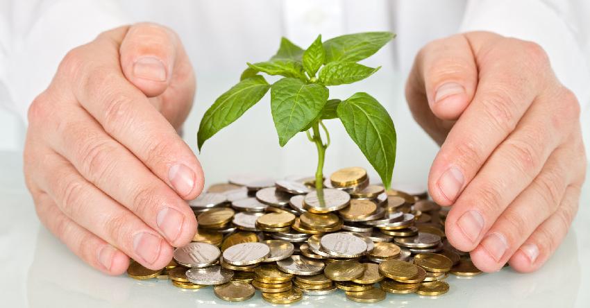 Wealth Preservation Strategies