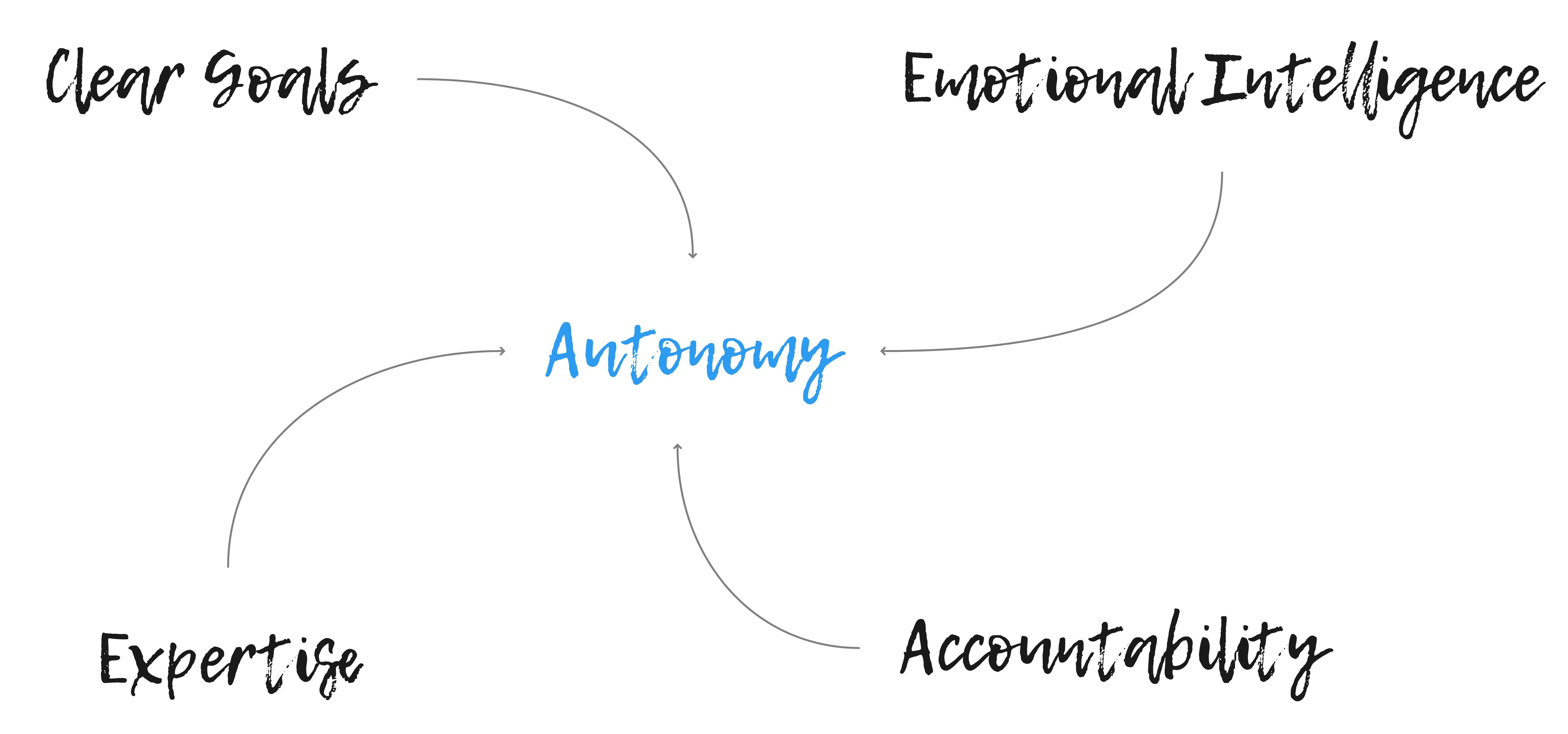 Empowering Team Autonomy for Enhanced Innovation
