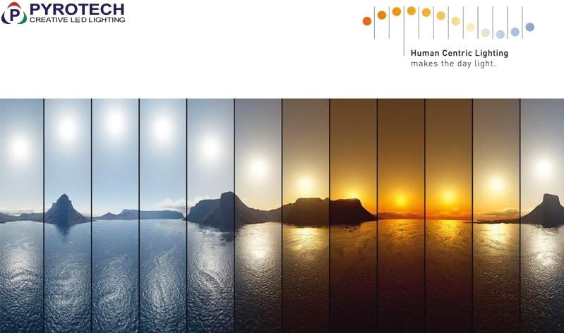 Understanding Lighting Dynamics for Flawless Product Images