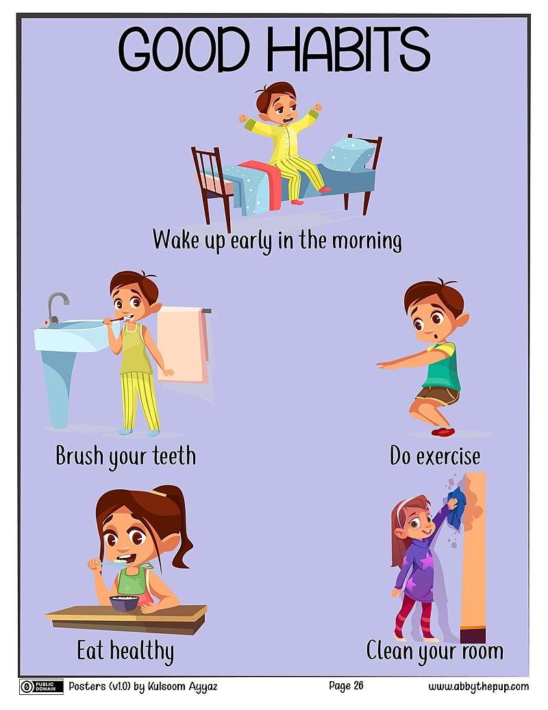 Cultivating Daily Habits: Small Steps Towards Big Transformations