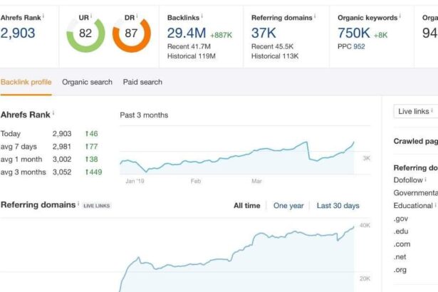 Unlocking Insights: A Deep Dive Into SaaS Analytics Tools