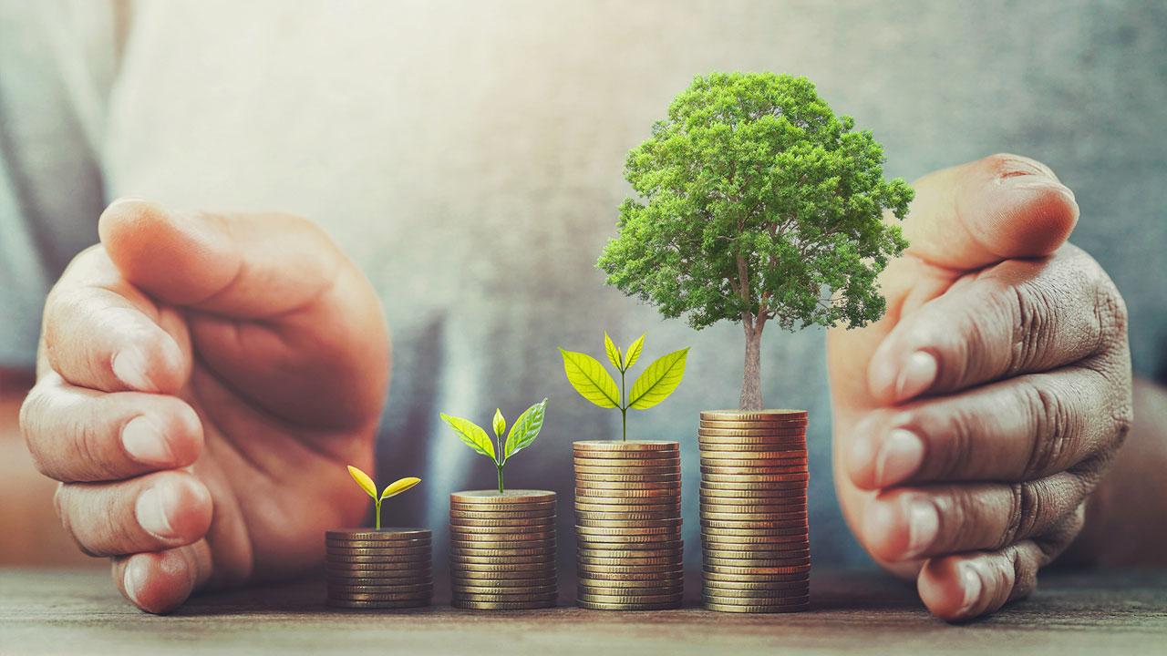 Wealth Preservation Strategies