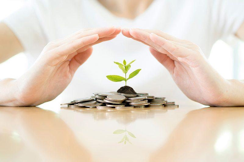 Wealth Preservation Strategies