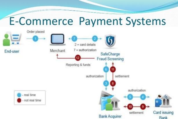 Navigating E-Commerce: Unlocking Payment Solutions for Success