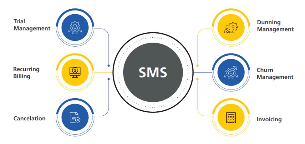 Key Metrics and KPIs for Effective Subscription Management
