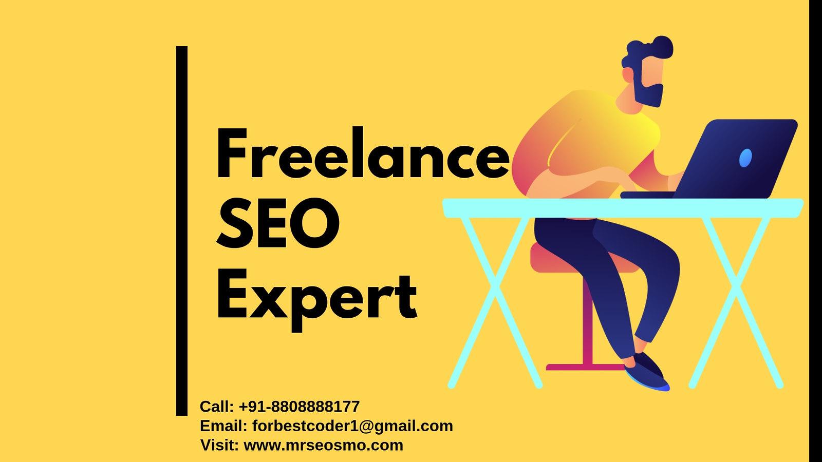 Freelance SEO Expert