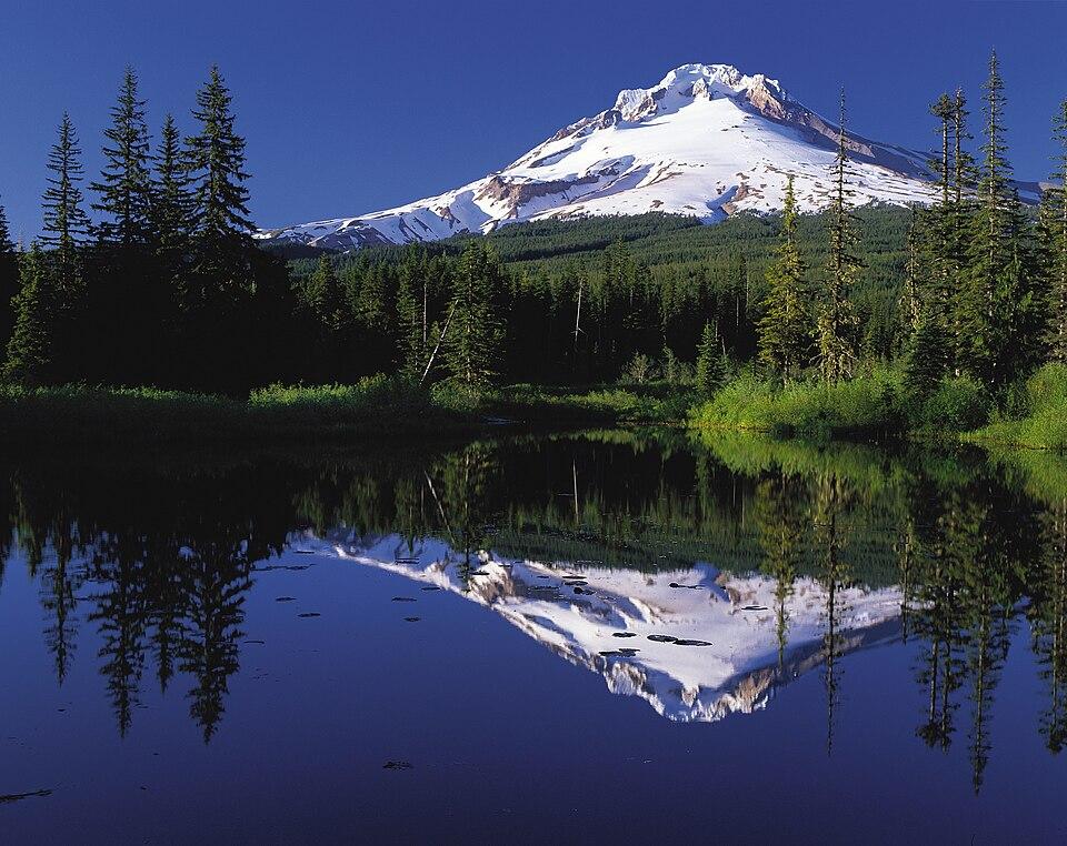 Harnessing Reflection and Self-Discovery Through Guided Prompts