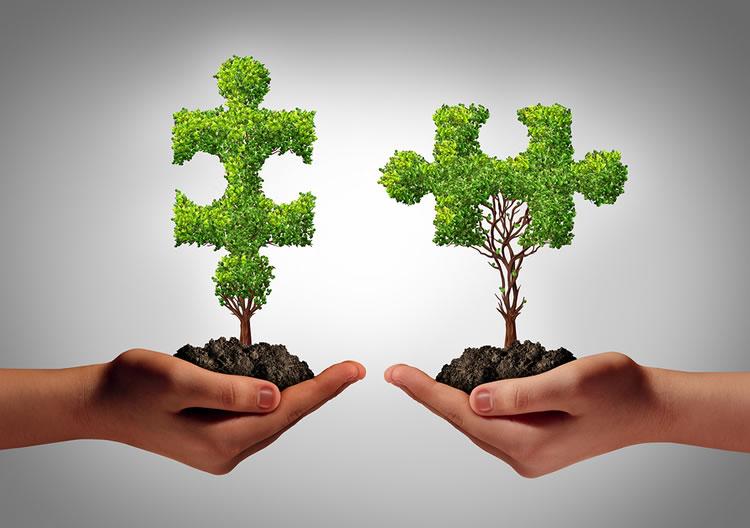 Cultivating Meaningful Relationships in the Startup Ecosystem