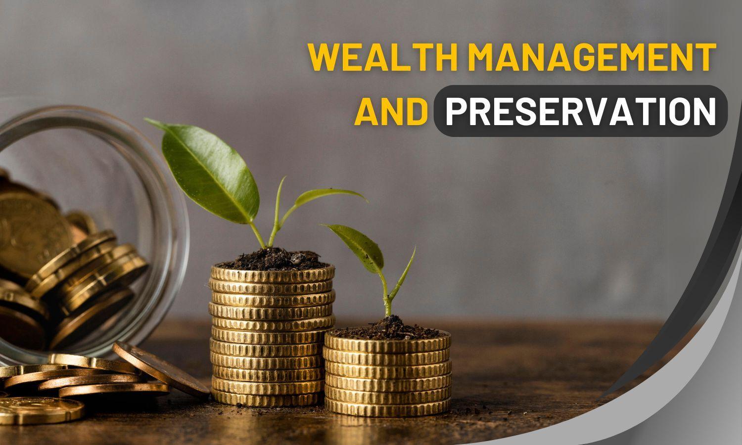 Wealth Preservation Strategies