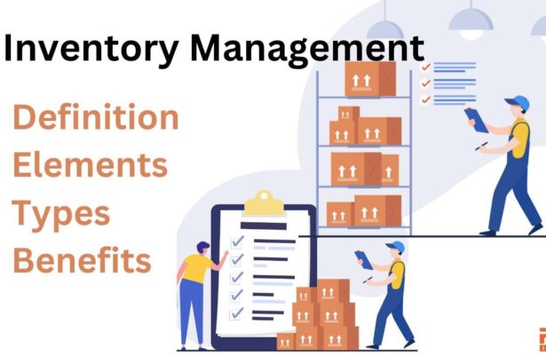 Mastering Inventory Management for Thriving E-commerce Success
