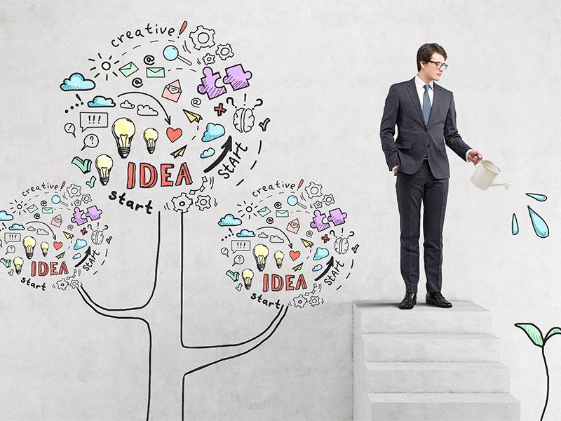 Empowering Growth: Supporting Development and Retention Strategies for Long-Term Success