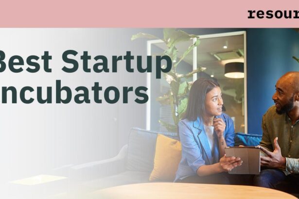 Navigating the Nexus: Startup Incubators and Accelerators