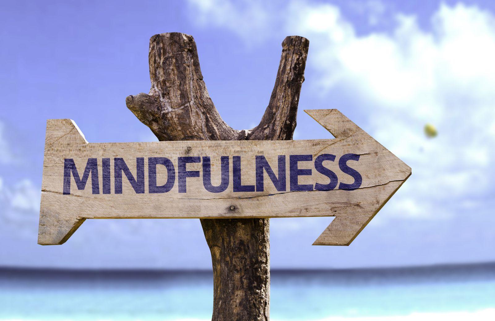 Cultivating Mindfulness for Sustained Change