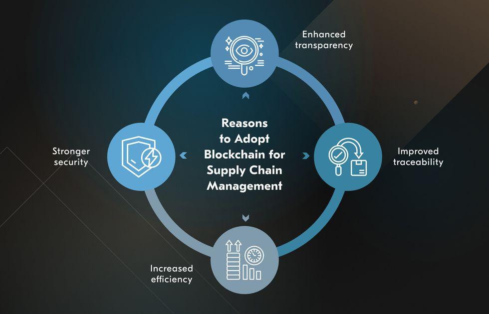 Navigating Transparency: How Blockchain Ensures Traceability in Supply Chains