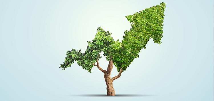 Scaling Success: Strategies for Sustainable Growth and Adaptation