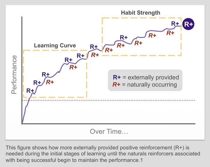 Staying on Track: Tools and Techniques for Habit Reinforcement
