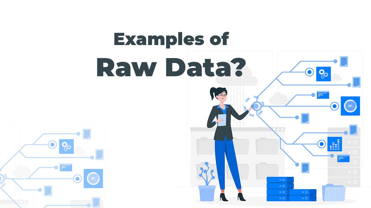Turning Raw Data into Strategic Decisions for Optimal ROI