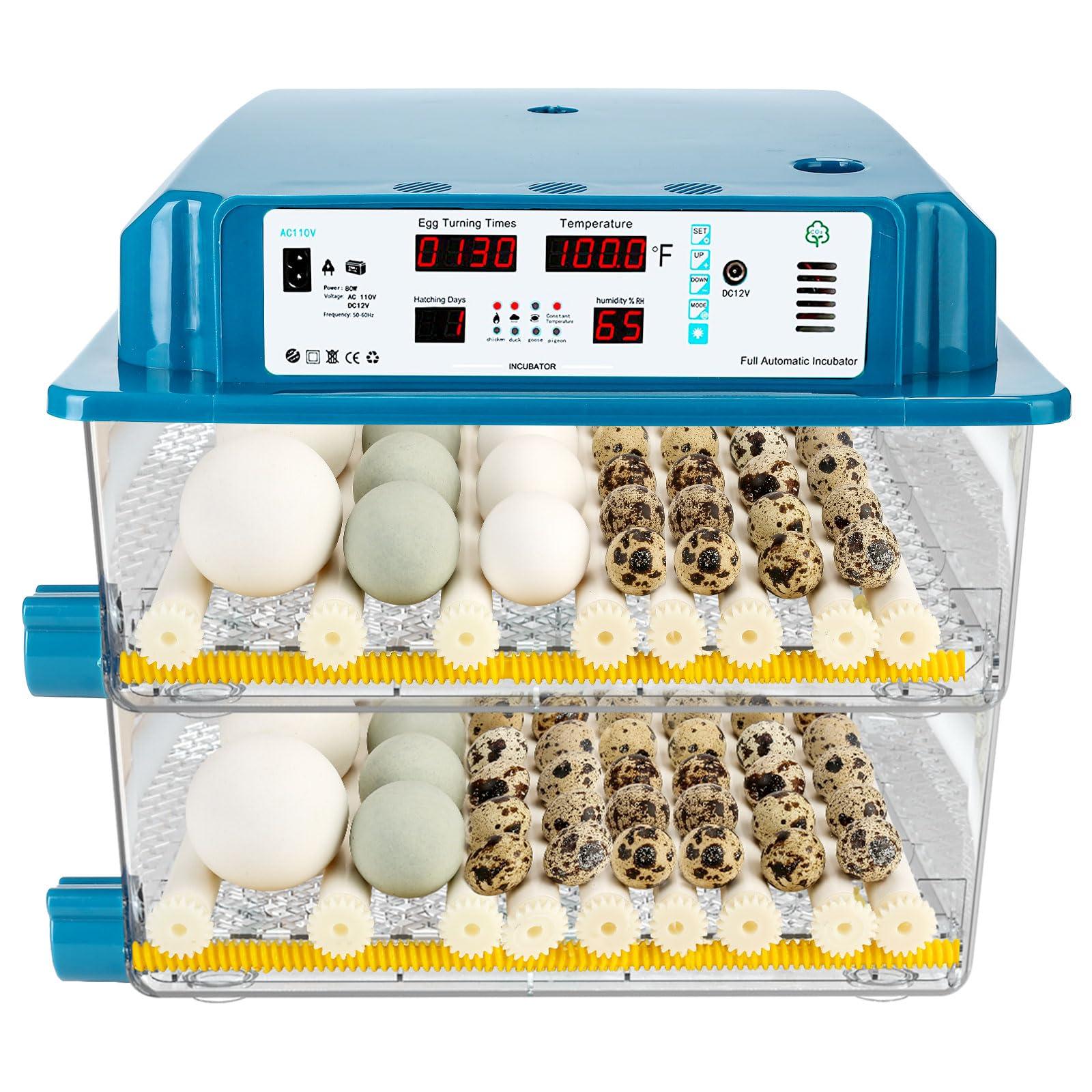Understanding the Core Differences Between Incubators and Accelerators