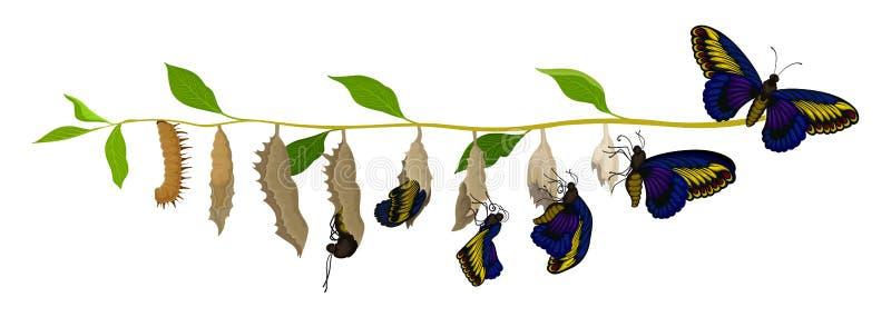 Exploring Transformative Themes in Personal Development Literature