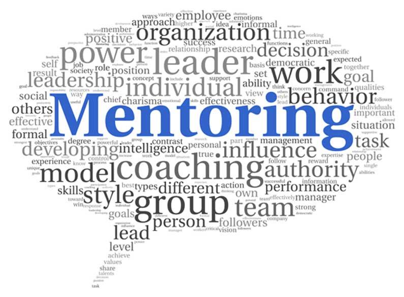 Beyond Capital: The Value of Mentorship and Network Support