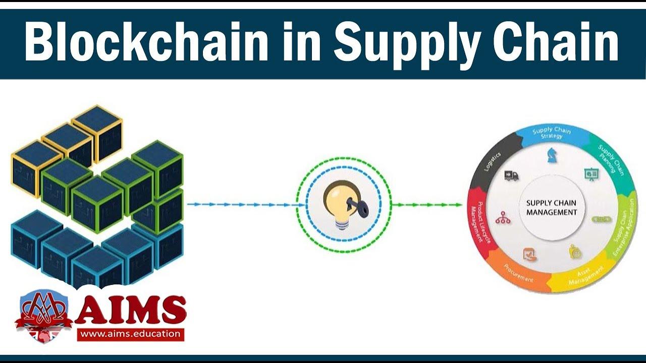 Empowering Transparency: The Key Benefits of Blockchain in Supply Chain Management