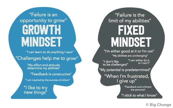 Cultivating a Growth Mindset: Empowering Employees to Experiment and Learn
