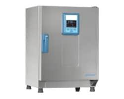 Nurturing Innovation: The Role of Incubators and Accelerators