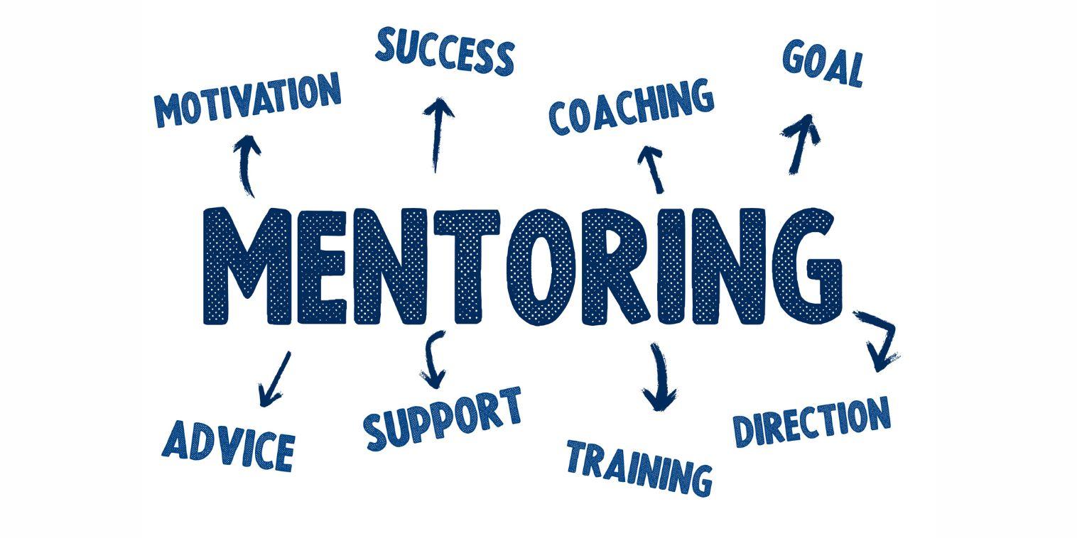 Exploring the Landscape of Startup Mentorship Opportunities